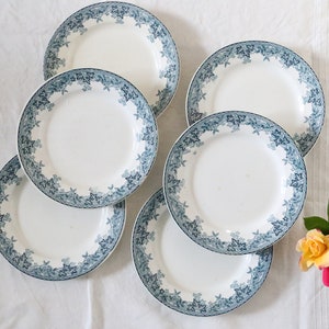 Assiettes plates x6,  terre de fer, modèle Estival de Saint Amand