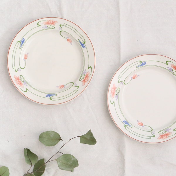 Set de 2 assiettes plates Villeroy et Boch modèle Florida, vintage, Belgique