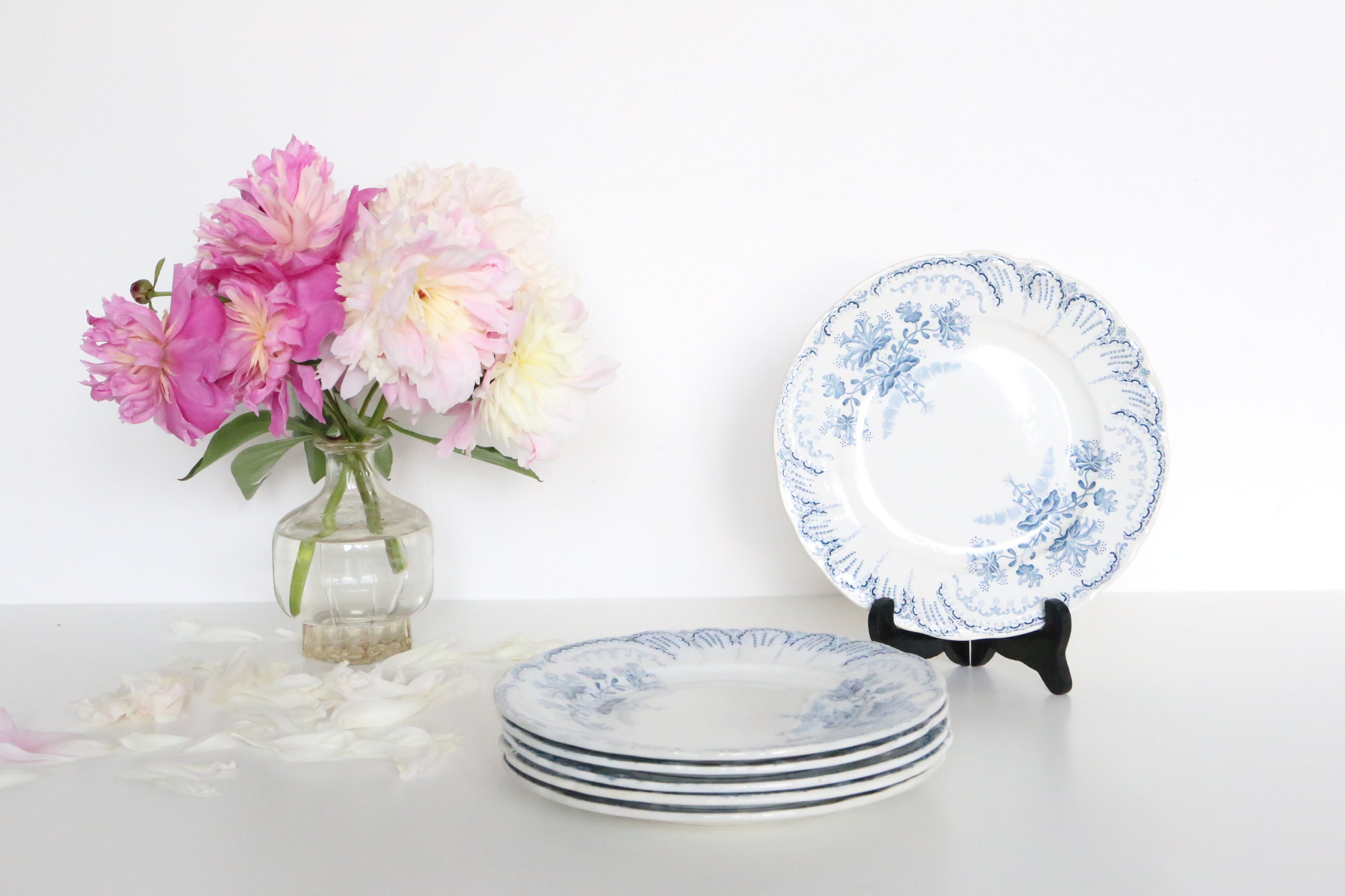 Ensemble de 6 Assiettes à Dessert Régence, Saint Amand, Début Xxème