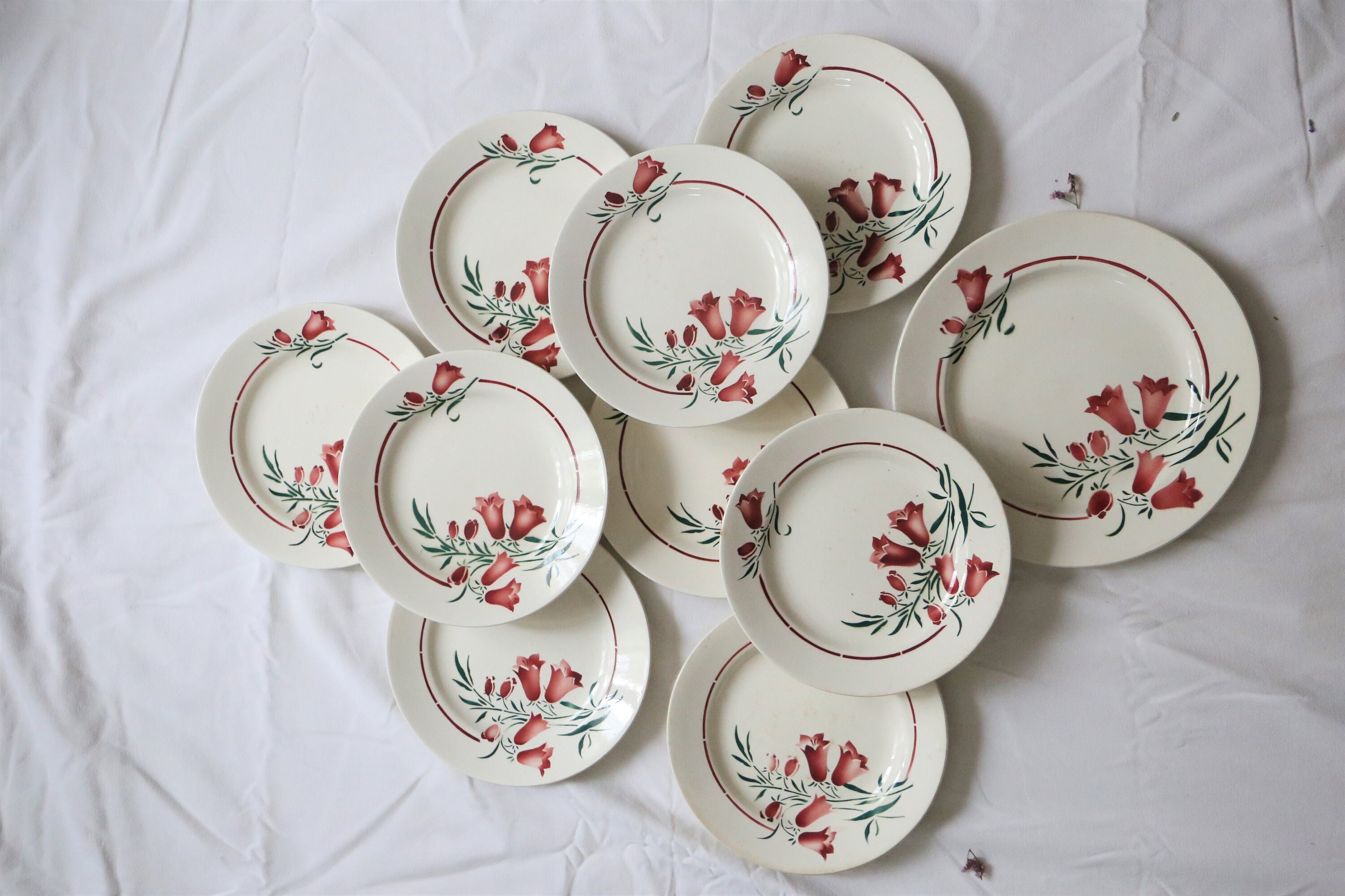 Set de 9 Assiettes Plates et 1 Plat Rond, Saint Amand, Vintage Français, Authentique, Rare, Campagne