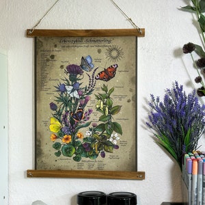 Könnte beinhalten: Ein Vintage-Poster mit einer detaillierten Illustration des Lebenszyklus eines Schmetterlings mit verschiedenen Pflanzen und Blumen. Der Text auf dem Poster lautet "Lebenszyklus - Schmetterling -  Und seine wichtigste Kraft - und Naturpflanzen".