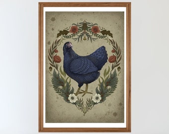 Signed print -Vintage chicken illustration- size A3