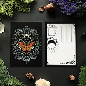 Carte postale sur les papillons de nuit et l'achillée millefeuille - Conçu par Pixie Cold