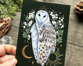 Magical postcard -white owl with dark green background- Designed by Pixie Cold