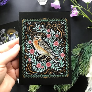 Braunkehlchen postcard - Designed by Pixie Cold