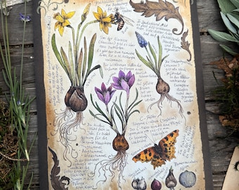 Early bloomer- hand signed Art Print on textured high quality paper -Witch Art