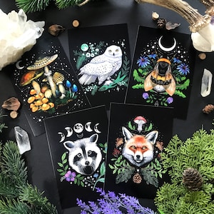 Pacote de cartões postais - Floresta Negra - Animais bruxos