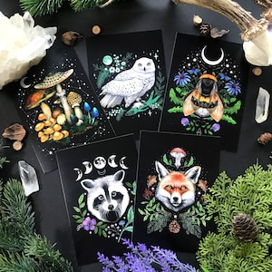 Postcard bundle -Dark Forest- Witch animals