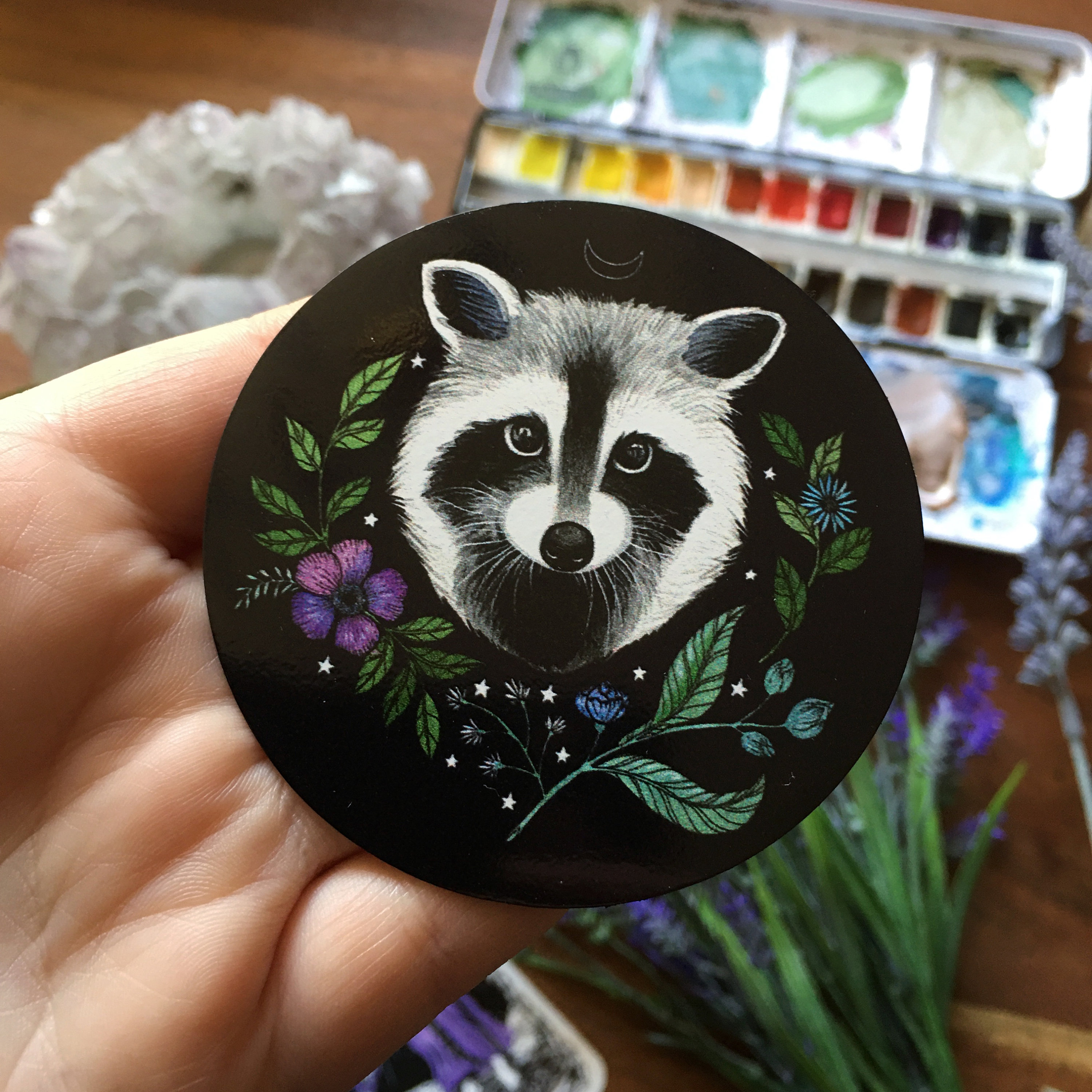 Magic Eye Racoon Raccoon Eye Paint