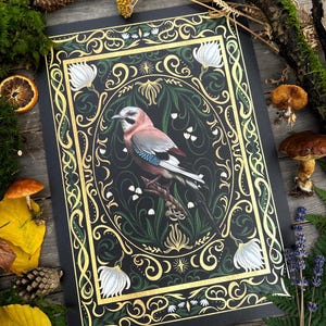 Jay and ornaments- hand signed Din A3 Art Print on textured high quality paper -Witch Art
