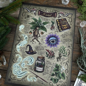Signed and numbered limited edition print -Herbology- size A3- perfect for your wizard life