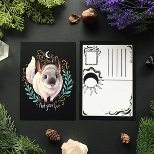 May include: Black and white postcard featuring a cute white chinchilla with black eyes and ears. The chinchilla is surrounded by gold and blue floral designs and the text "Not your fur". The back of the postcard has a black and white design with a space for a message and an address.