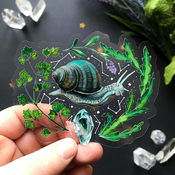 Beautiful transparent vinyl sticker- Snail- waterproof sticker