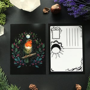 May include: A black and white postcard featuring a robin perched on a branch with a moon and stars in the background. The postcard has a blank space for writing a message and an address.