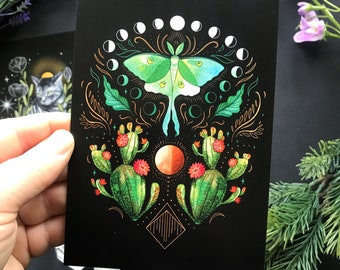 Luna moth postcard - Designed by Pixie Cold