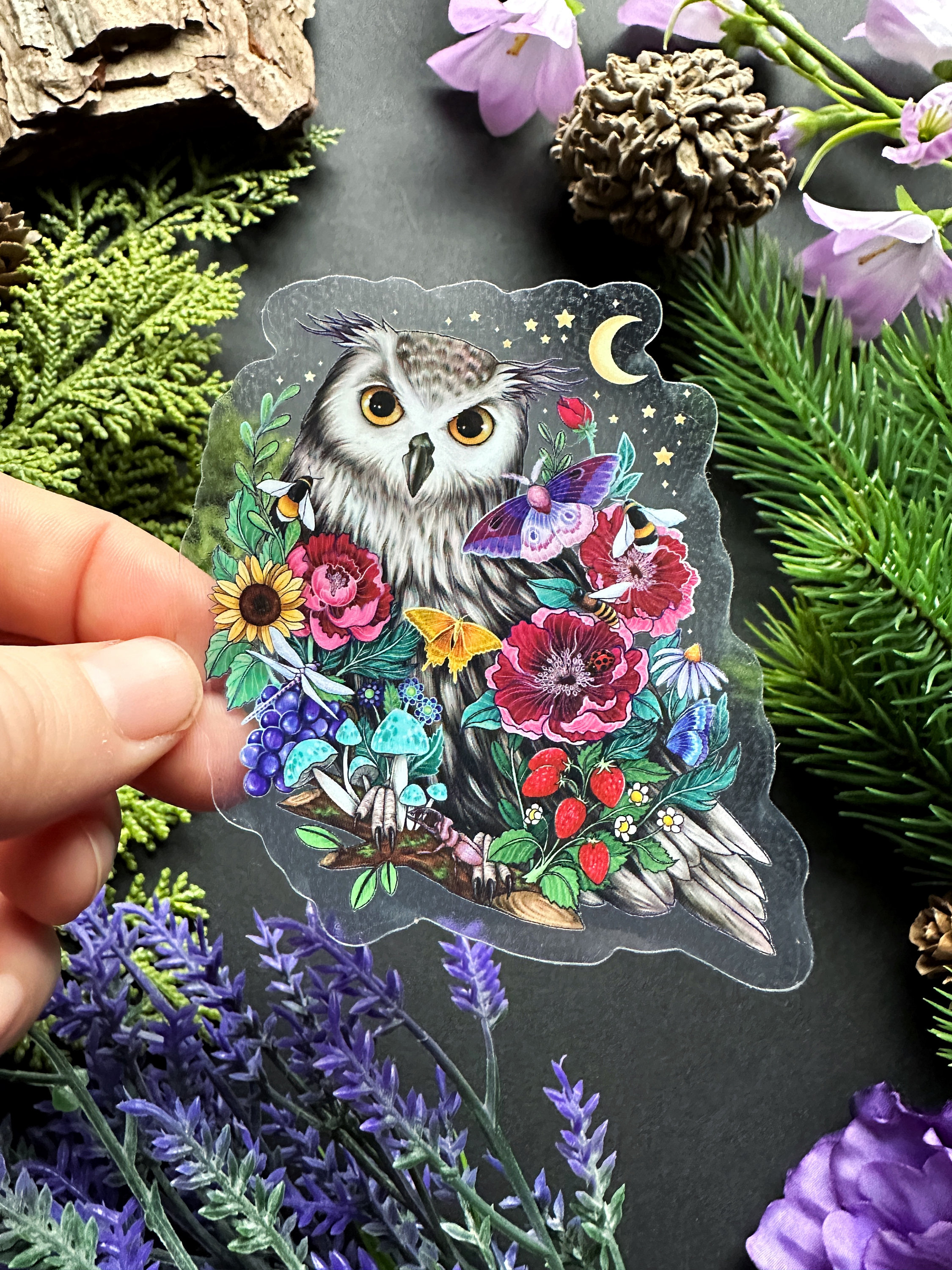 Beautiful transparent vinyl sticker- colorful forest owl - waterproof sticker