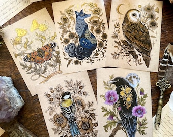 Lote de postales vintage de arte de brujas: zorro, búho, cuervo, mariposa, pájaro.