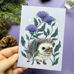 Cartão postal mágico - ouriço - Desenhado por Pixie Cold