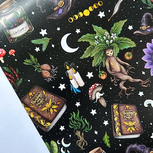 Wunderschönes Einpackpapier- 10 Blätter jeweils Größe Din A2 - Kräuterkunde Hexen Illustration