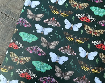 Beautiful wrapping paper- 10 Sheets size A2 - Different moths Illustration