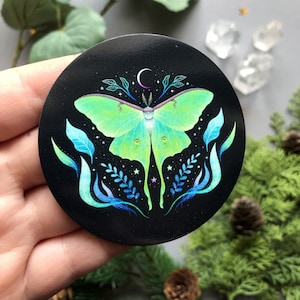 Pode incluir: Uma mariposa lunar preta e verde com uma lua crescente e estrelas em um fundo preto com folhagem verde e azul.