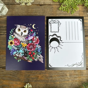 May include: A postcard featuring a white owl with yellow eyes surrounded by colourful flowers, mushrooms, and berries. The owl is perched on a branch against a dark blue background with a crescent moon and stars. The back of the postcard has a black and white design with a moon, sun, and space for writing.