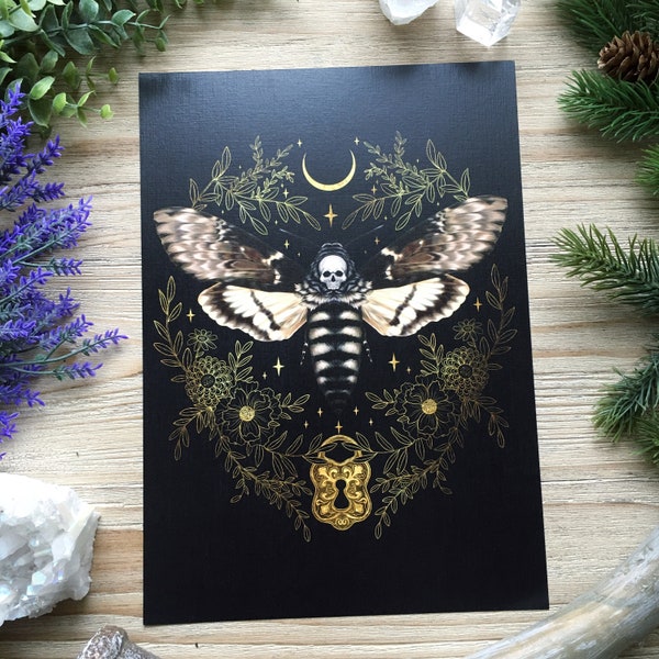 Hawk skull moth- hand signed Art Print on textured high quality paper -Witch Art