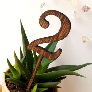 Wedding table numberS, wooden table numbers, rustic wedding table numbers, unfinished wood numbers, table numbers on sticks, wenge wood