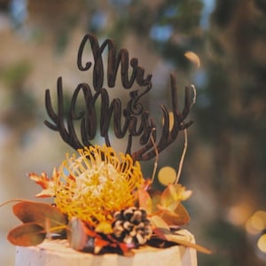 Mr and Mrs cake topper, deer antlers cake topper, wedding cake topper, rustic wooden cake topper, gold silver or plain wood cake topper