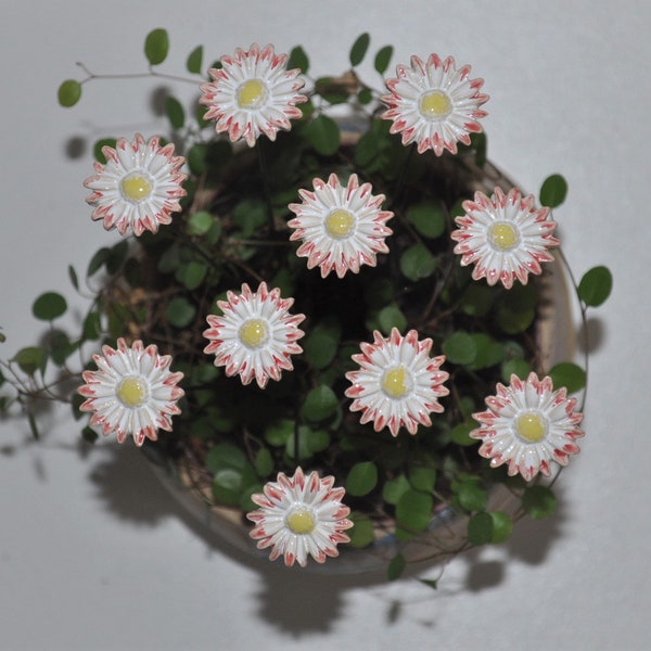 10 Gänseblümchen weiß-rot, 2,00-2,50 cm designt von SylBer-Ceramics aus Markkleeberg