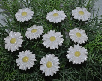 10 ceramic flowers (daisies), white, approx. 2.50 cm by SylBer-Ceramics from Markkleeberg