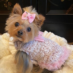 May include: A small Yorkshire Terrier dog wearing a pink and white fuzzy sweater with a pink tulle ruffle and a pink bow with small white flowers on its head.