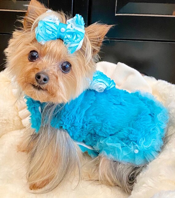 Winter clothes sales for puppies