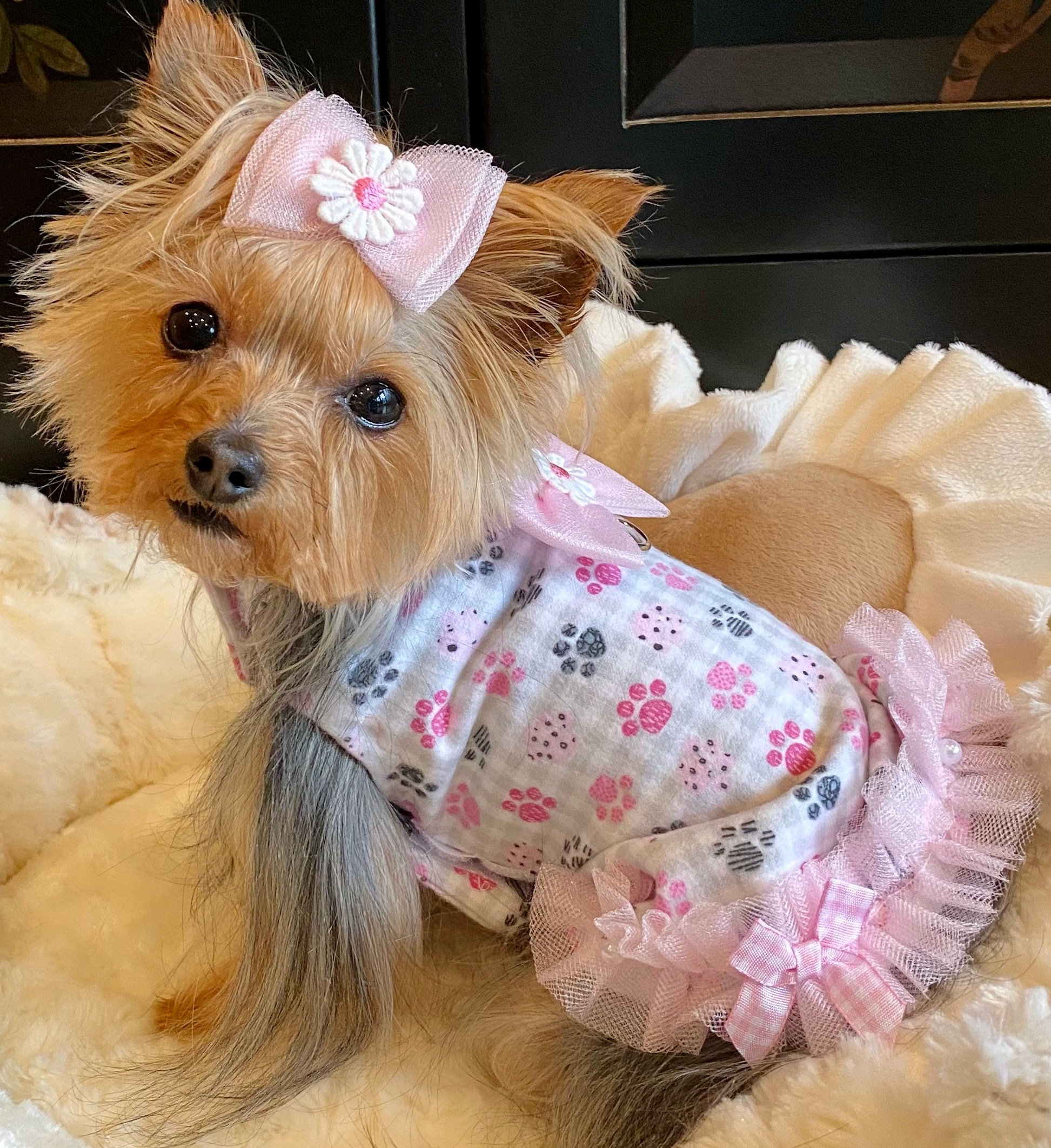 Boy Dog Clothes Gold Sequin Dog Dress Sparkly Pet Party Attire Fitwarm Boy Dog Clothes Gold Sequin Dog Dress Sparkly Pet Party Attire Fitwarm