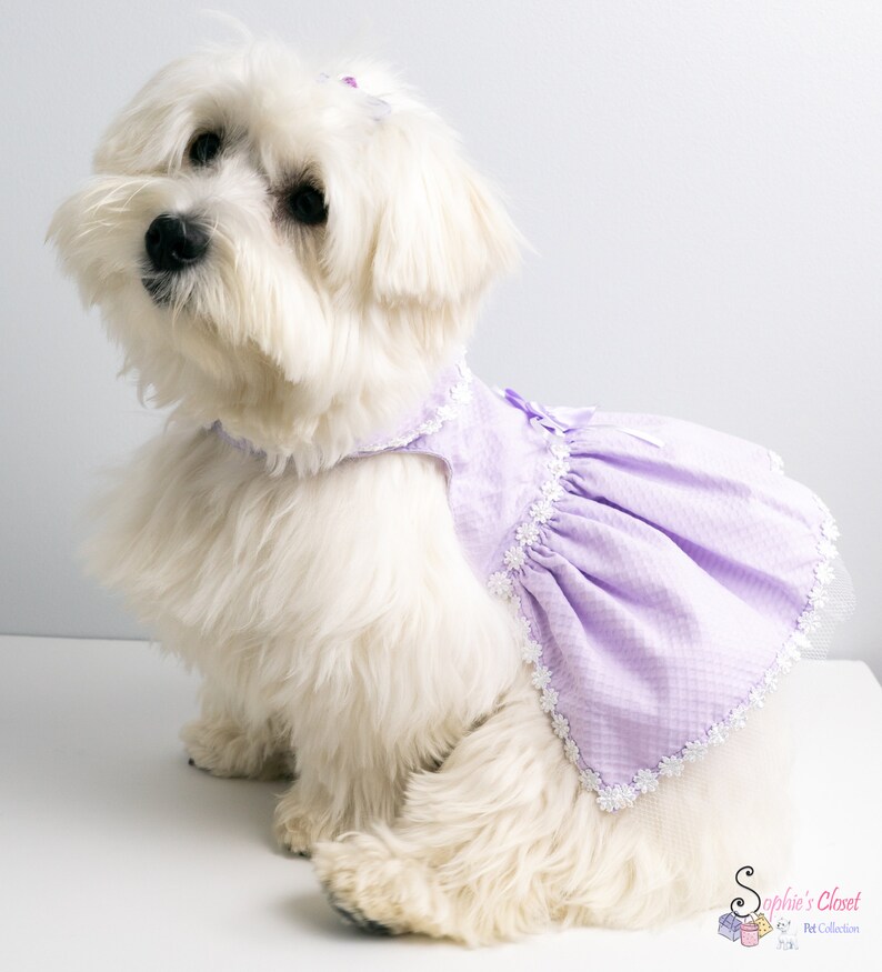 Lilac Dog Dress M Dog Dress Dress for Dog Pet Flower Etsy