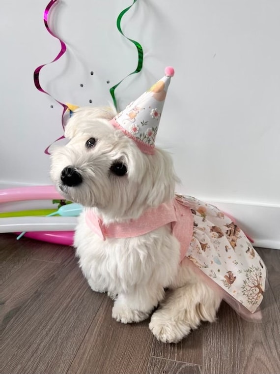 puppy birthday dress Puppy Party Twirl Dress – Only Little Once