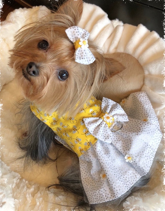 Spring dog clothes cheap