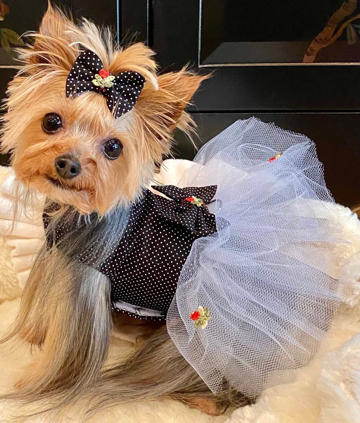 Polka Dot Dog Tutu Dress: Pet Flower Girl Outfit - Etsy