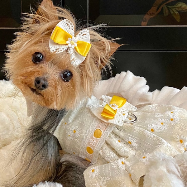 Daisy Garden Dog Dress - XXS, XS, S...Small Dog Dress, Dog Dress, Summer Dog Dress, Dog Apparel, Luxury Dog Dress, Fashion Dog Harness