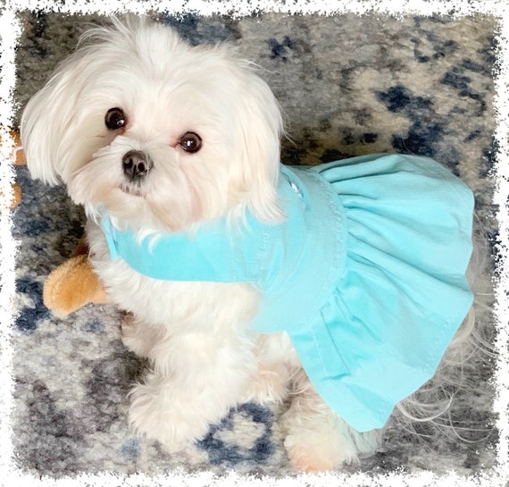 Teal Butterflies Dog Dress XXS Dog Dress dog Clothes custom Dog