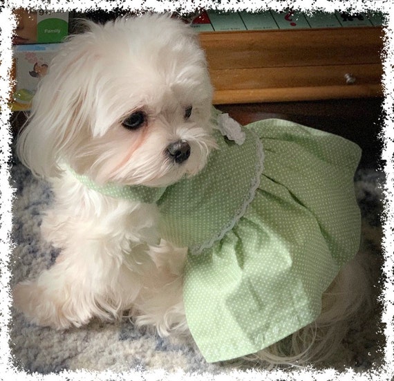Sweet Green Dog Dress Teacup Pet Dress Puppy Clothes 