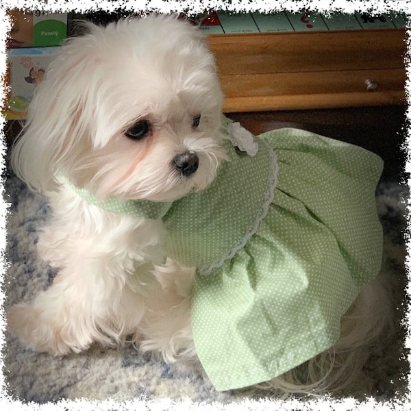 Teacup Dog Dresses Etsy
