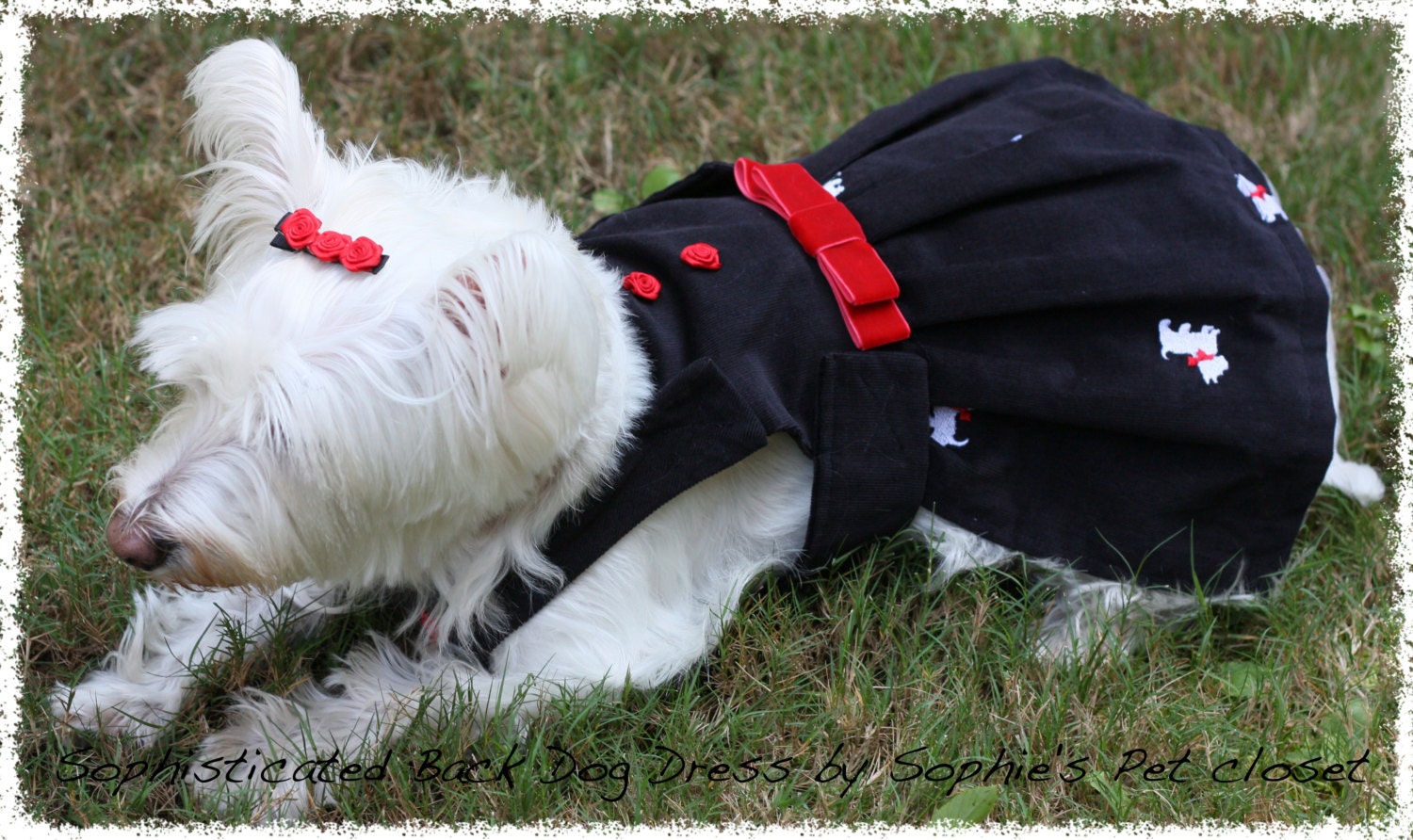 Sophisticated Black Dog Dress XS S M... Black Luxury Dog Etsy