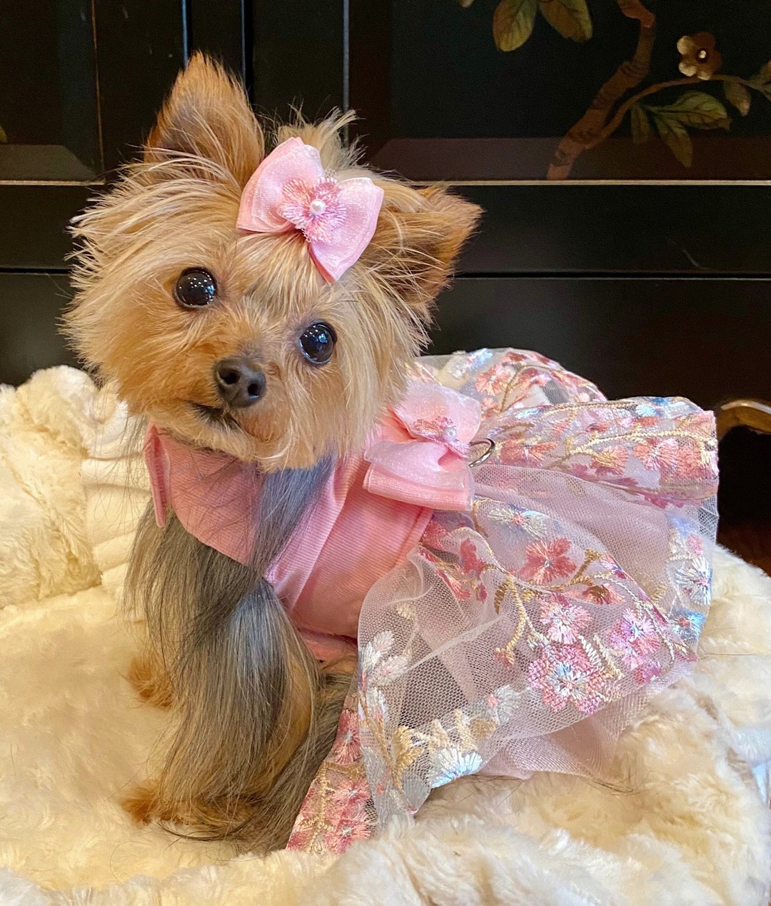 犬服・アクセサリー pp* closet GIRLY NATURAL DRESS il_1080xN.5562766801_jgvr.jpg