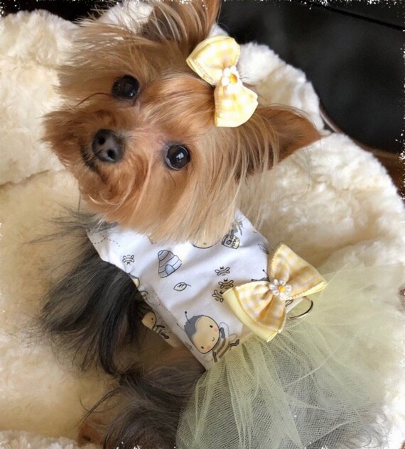 Cute Bee Dog Harness - XXS,XS,S... Pet Dress, Dog Clothes, Custom Dog Dress,  Designer Dog Dress, Dog Flower Girl, Wedding Dress, Dog Dress - Etsy