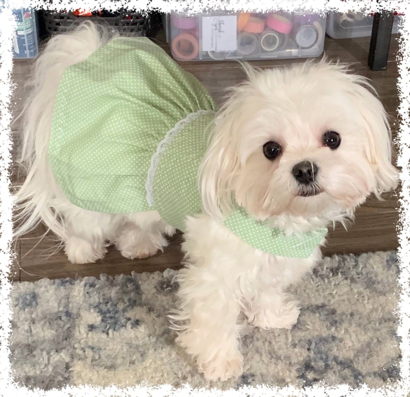 Green Dog Dress
 Sweet Green Dog Dress Teacup Pet Dress Puppy Clothes Etsy