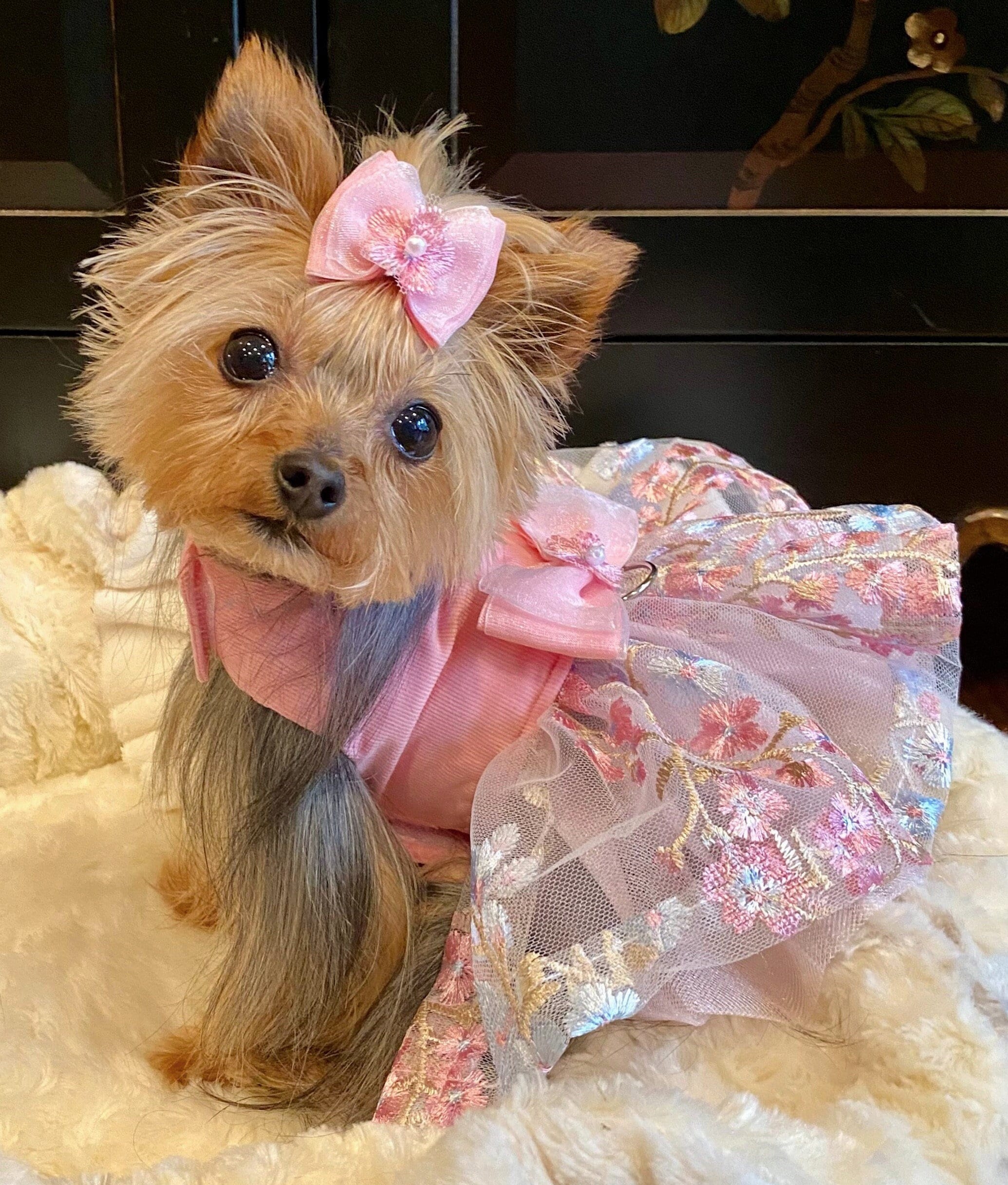 white christmas dresses My Little Princess Dog Tulle Dress With Dainty Flowers main image 1