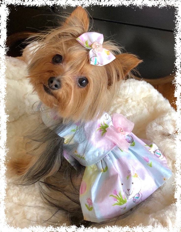 ワンピース Hashtag DDD Ghost Horse Dog Plaid Short Sleeve Dress Dog Dress Pattern - PDF Sewing Pattern - 2 Sizes Xl and L