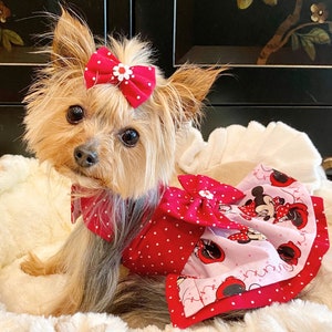 Dog minnie shop mouse dress