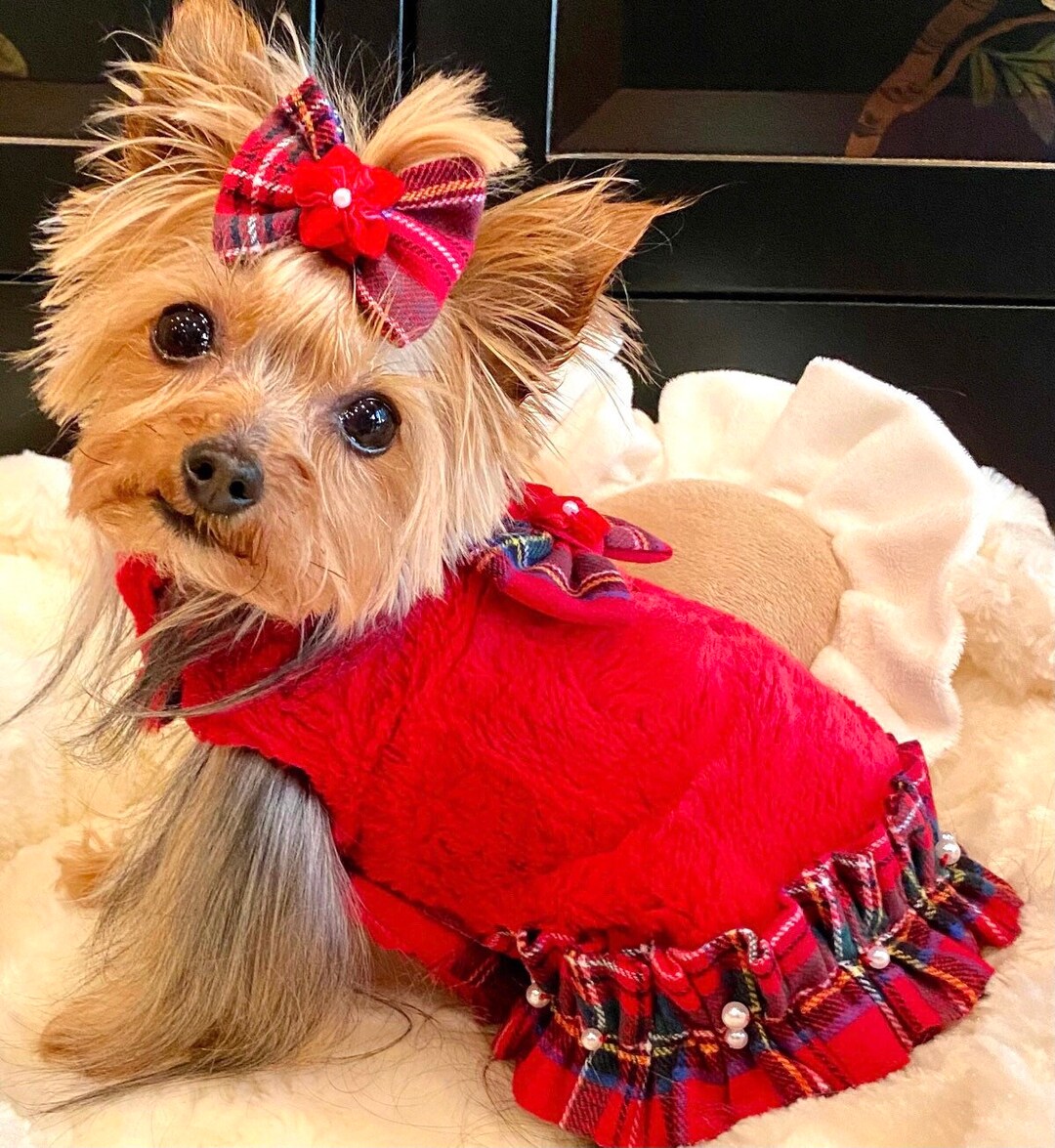 Holiday Season Pet Coat Holiday Pet Clothes Holiday Dog Etsy